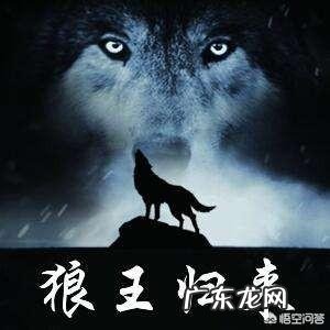 为什么许多组织要求学习狼的团队精神?