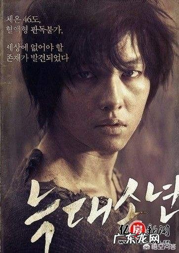 为什么许多组织要求学习狼的团队精神?