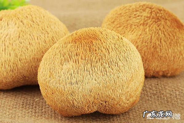 猴头菇怎么做好吃?