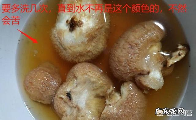 猴头菇怎么做好吃?