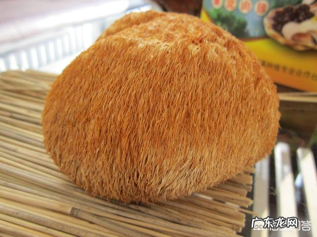 猴头菇怎么做好吃?