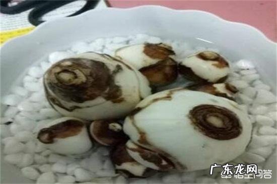 怎样使水培水仙花快速生根？