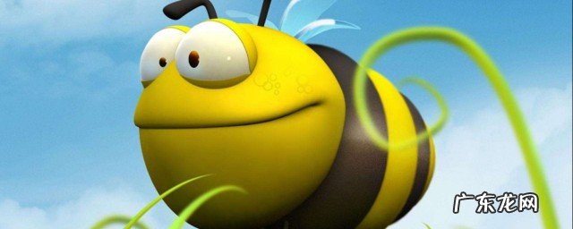 被蜜蜂追了该怎么办