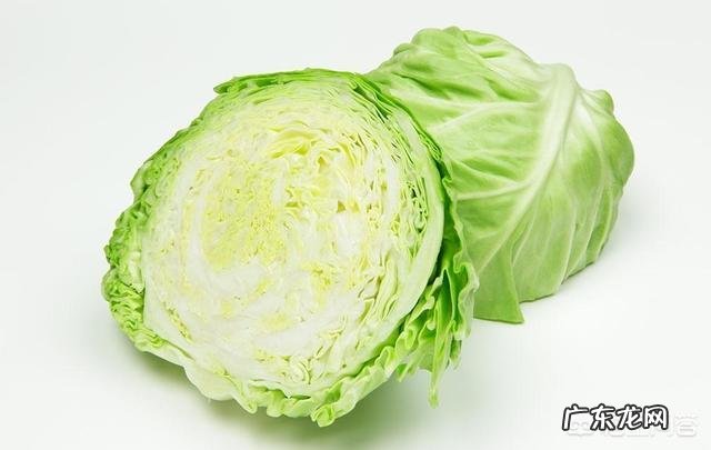痛风患者可以吃卷心菜吗?