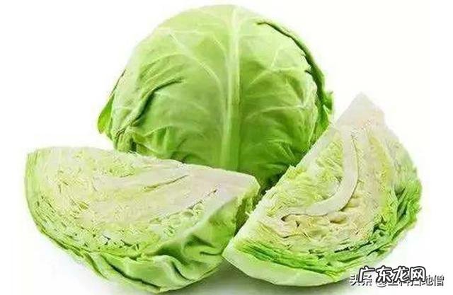 痛风患者可以吃卷心菜吗？