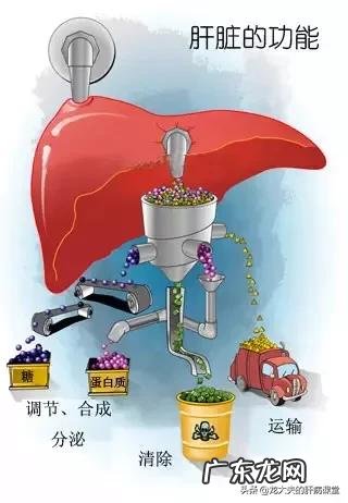 乙肝小三阳可以治好吗?应该如何治疗?