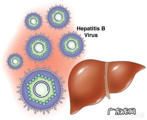 乙肝小三阳可以治好吗?应该如何治疗?
