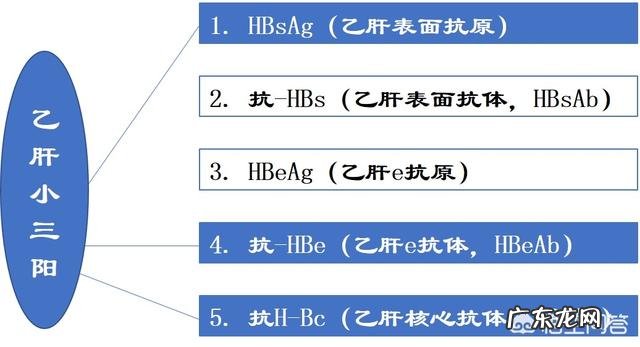 乙肝小三阳可以治好吗?应该如何治疗?