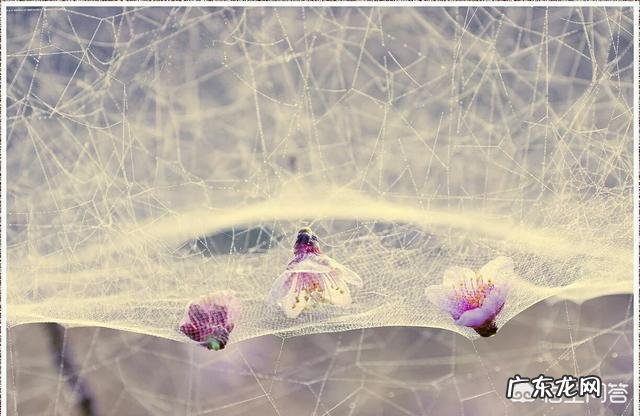 你有什么心事吗?