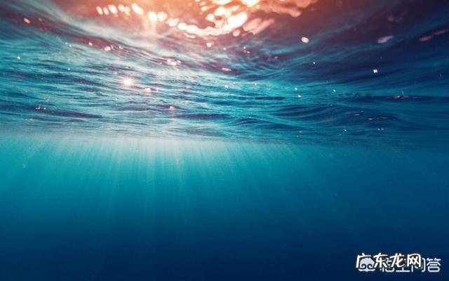 海洋为什么会涨潮和退潮？涨潮的水哪来的，退潮的水又到哪去了？