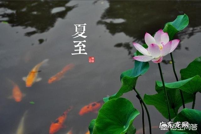 24节气指的是什么?