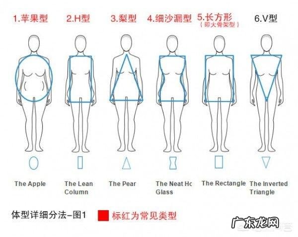 肥胖已经成为威胁人类身心健康的头号杀手,如何才能健康减肥?