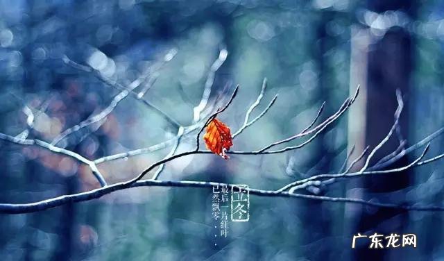 冬至吃汤圆,有什么寓意?