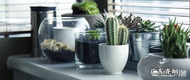 工作中,怎样找到适合自己的发展方向?