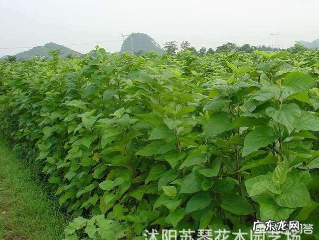 上联:陌上花开,可缓缓归矣。如何对下联?