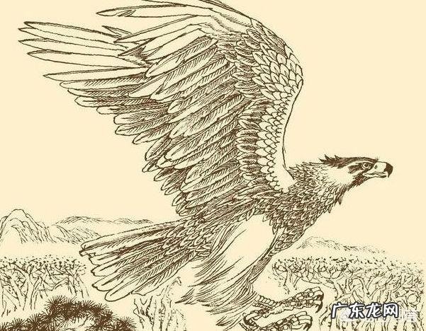 鲸鱼是逍遥游“北冥有鱼，其名为鲲”中的鲲吗？鲲是什么？