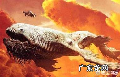 鲸鱼是逍遥游“北冥有鱼,其名为鲲”中的鲲吗?鲲是什么?