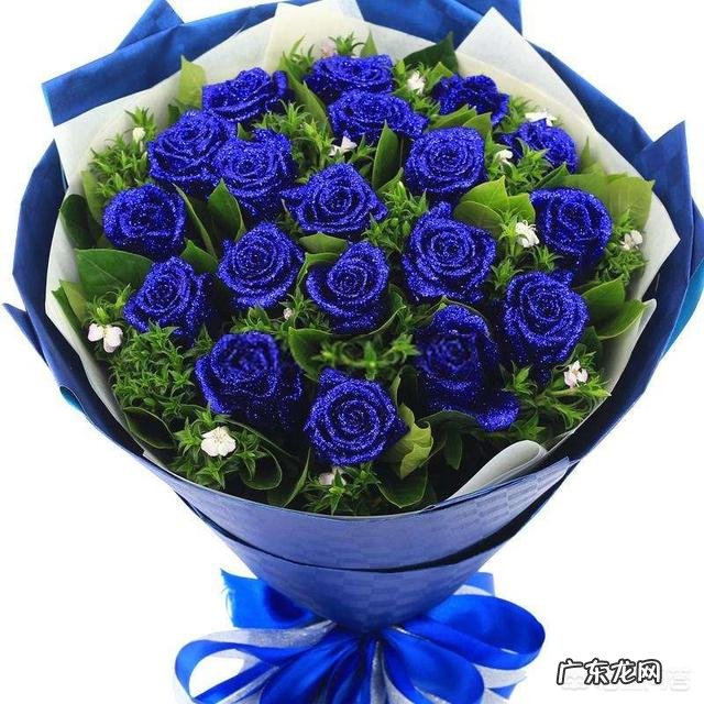 你知道各种鲜花有什么寓意吗?