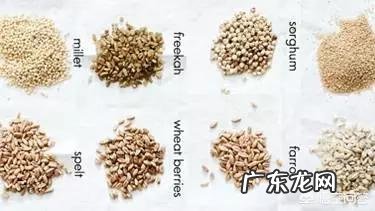 粗粮越吃越减肥吗?