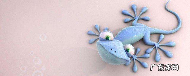 被壁虎咬了该怎么办