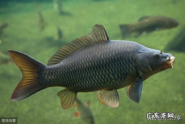 春未初夏30度以上的晴天好钓鱼吗?