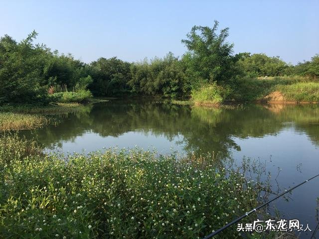 春未初夏30度以上的晴天好钓鱼吗?