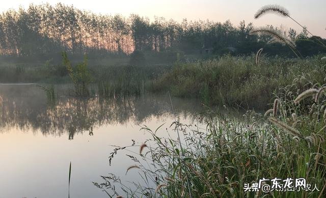 春未初夏30度以上的晴天好钓鱼吗?