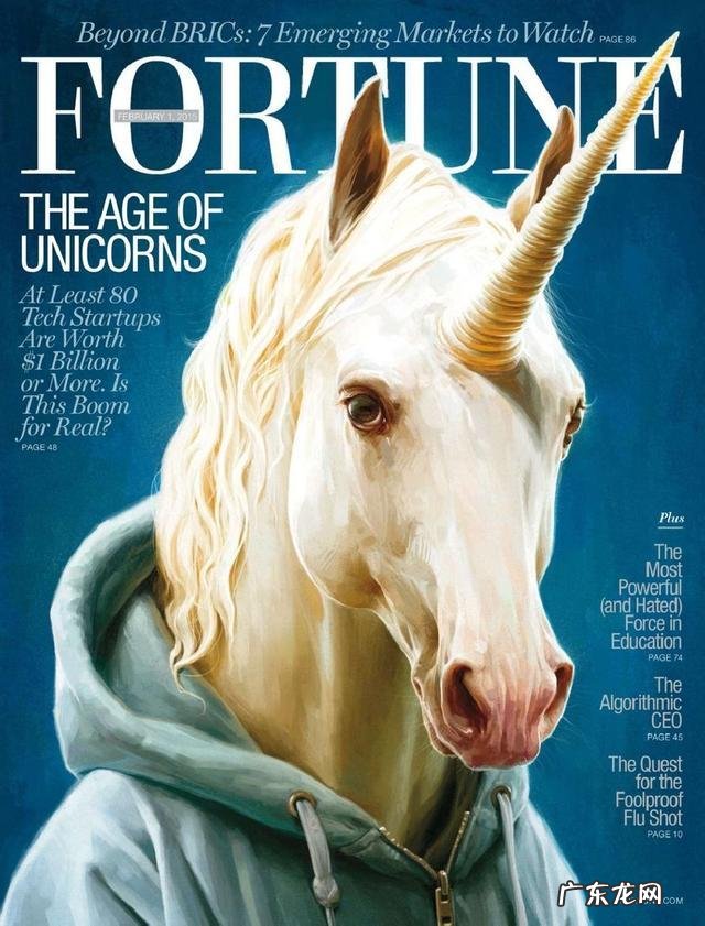 什么是独角兽公司?