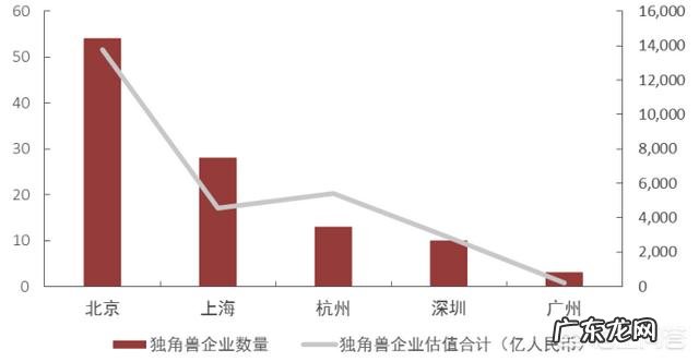 什么是独角兽公司?
