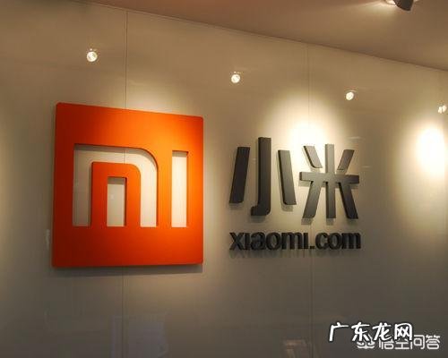 什么是独角兽公司?