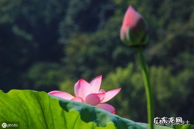 今天是大暑,农村老人常言说大暑三不吃四不做是指的哪些呢?有道理吗?