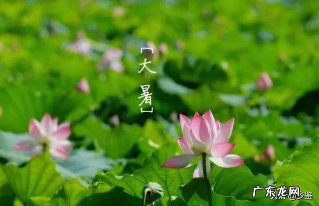 今天是大暑，农村老人常言说大暑三不吃四不做是指的哪些呢？有道理吗？