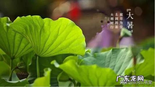 今天是大暑,农村老人常言说大暑三不吃四不做是指的哪些呢?有道理吗?