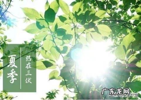 今天是大暑,农村老人常言说大暑三不吃四不做是指的哪些呢?有道理吗?