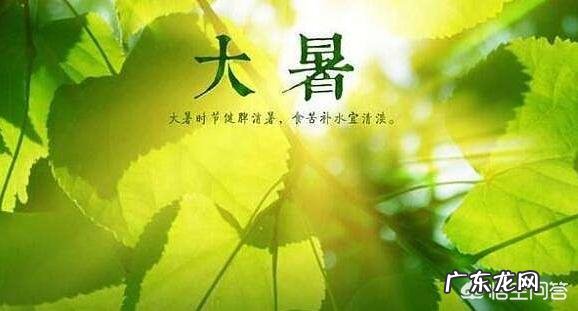 今天是大暑,农村老人常言说大暑三不吃四不做是指的哪些呢?有道理吗?