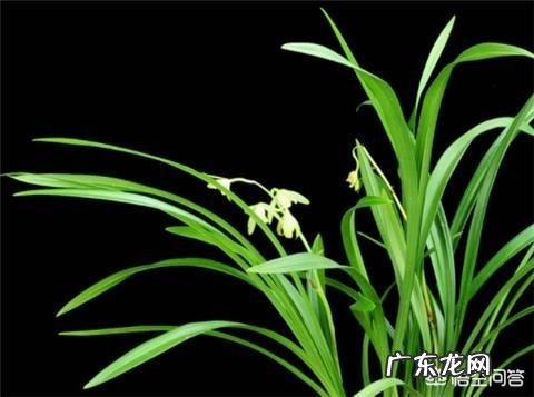 婚姻中对待第三者插足,是忍气吞声,还是勇敢面对?你怎么看?