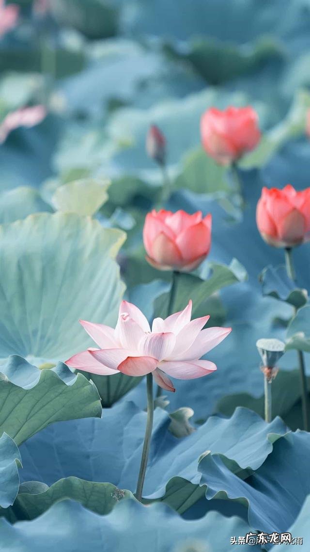 有哪些说到心坎里的经典句子?