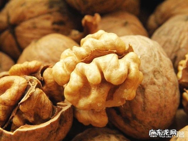 脱发吃什么比较好呢?