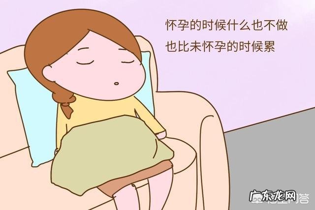 怀孕时是不是都嗜睡、比较懒?