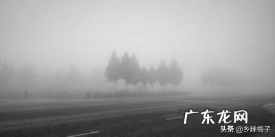 冬季雾霾天气对棚室蔬菜有什么影响?如何防护?