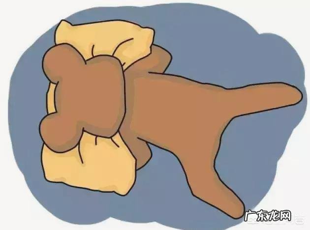 可以从宝宝的睡姿看出宝宝的性格特点吗？