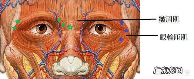 眼角有皱纹该怎么办？