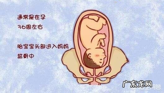 怀孕32周了,如果胎儿已经入盆,孕妇会有什么感觉呢?