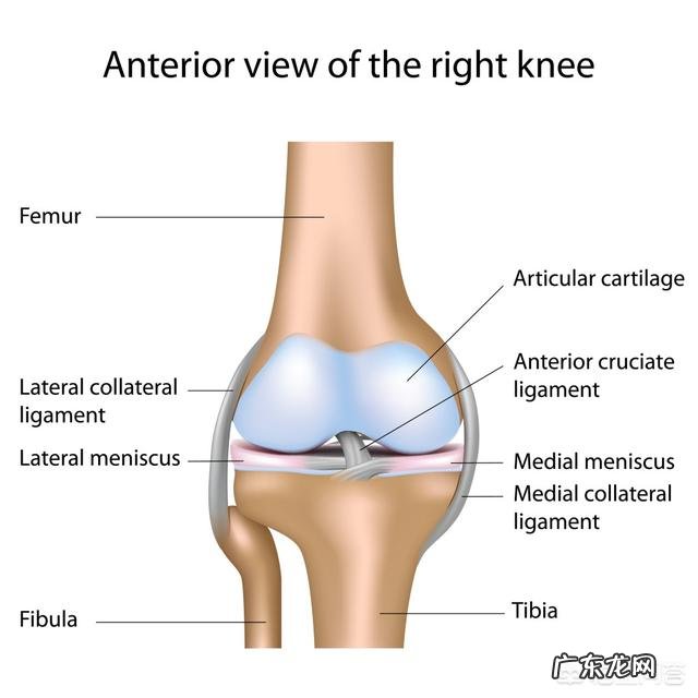 跑步有什么技巧？