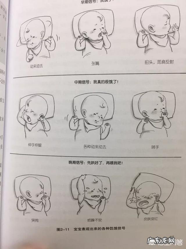 母乳喂养会过度喂养吗?如何避免过度喂养?