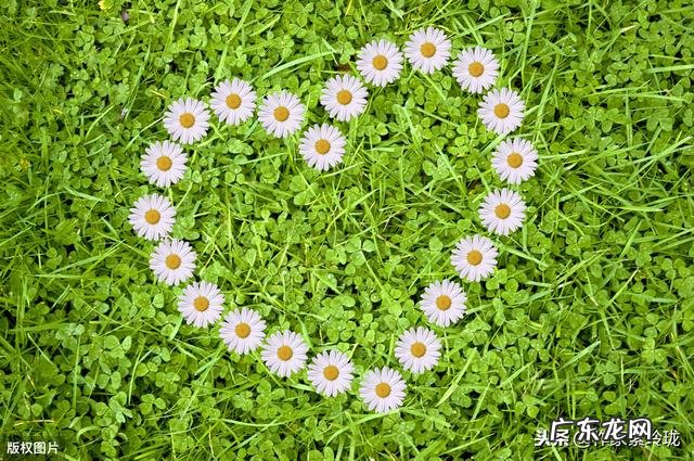 一个真正爱你的男孩子是什么样子的？