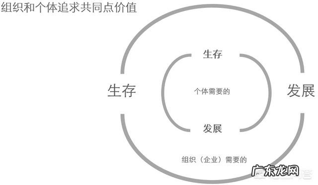 个人职场生涯如何规划和发展？