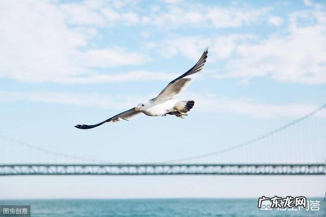 个人职场生涯如何规划和发展?