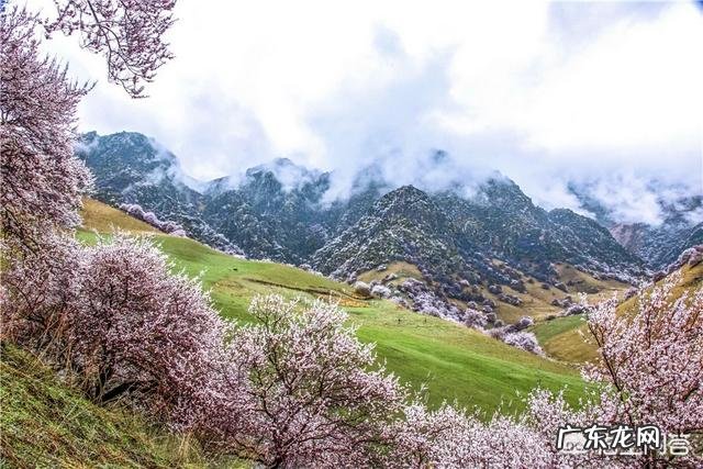 怎样才能提高自己读书的兴趣？