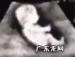 胎动在拱是胎儿在干嘛?胎动一般从几个月开始就会明显了?